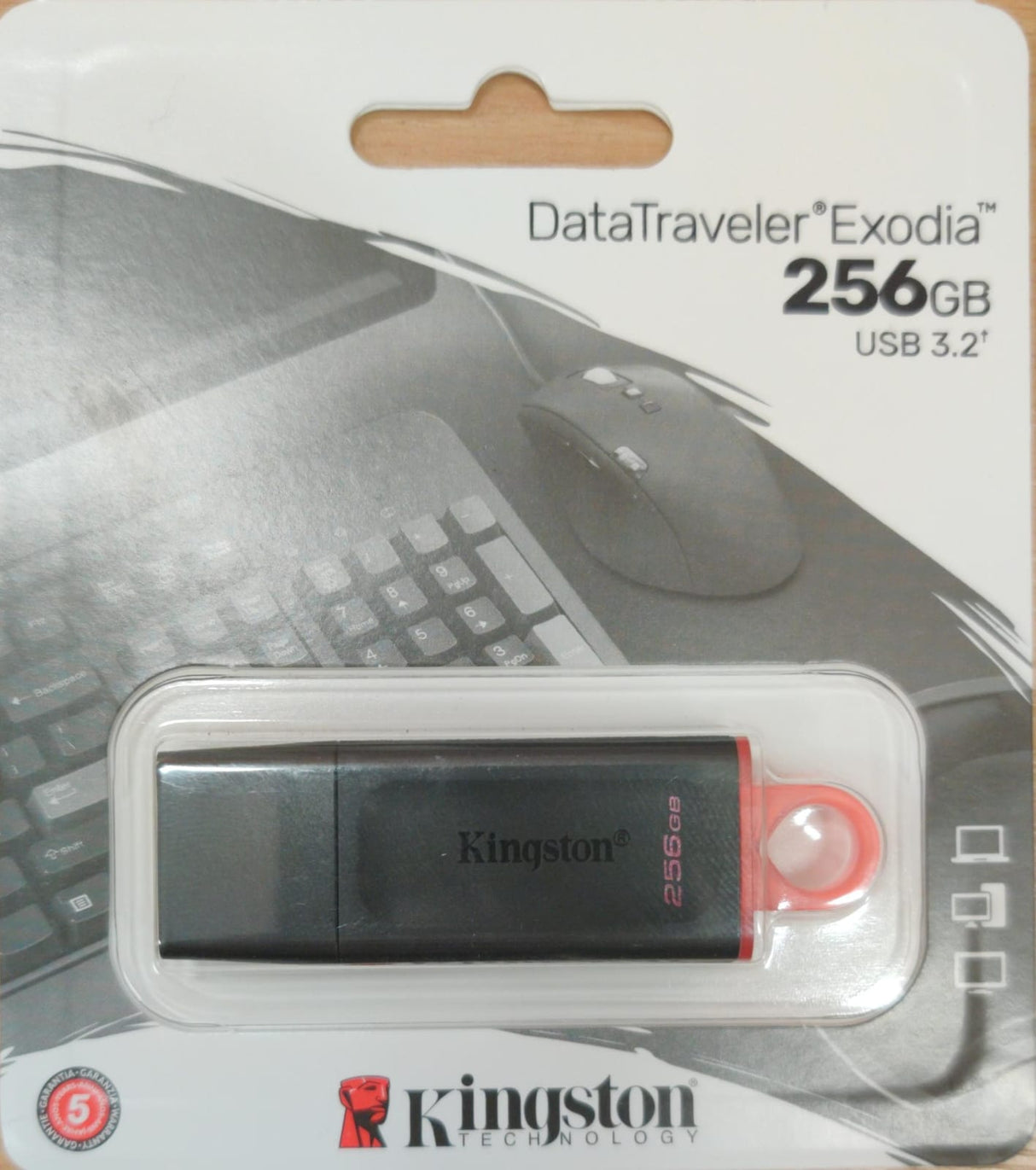 KINGSTONE FLASH DRIVE 256GB