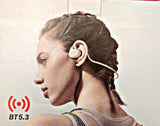 Sport Earphones